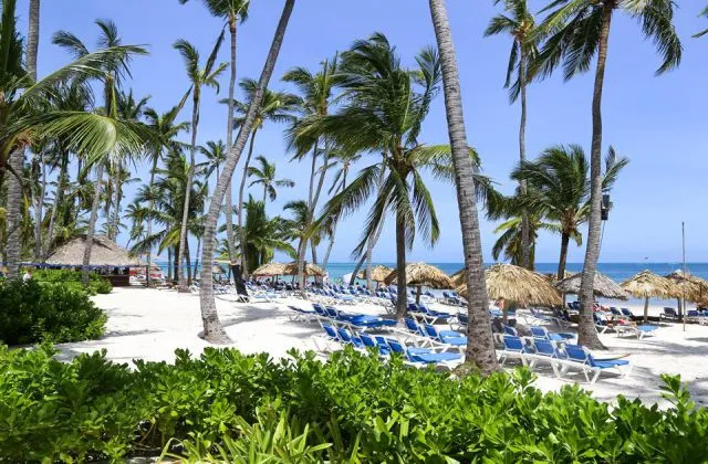 Dreams Palm Beach Punta Cana playa republica dominicana